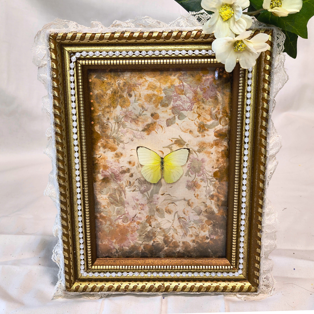 Celestial Wings Framed Butterfly Art - Made with Upcycled Materials