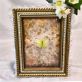 Celestial Wings Framed Butterfly Art - Made with Upcycled Materials