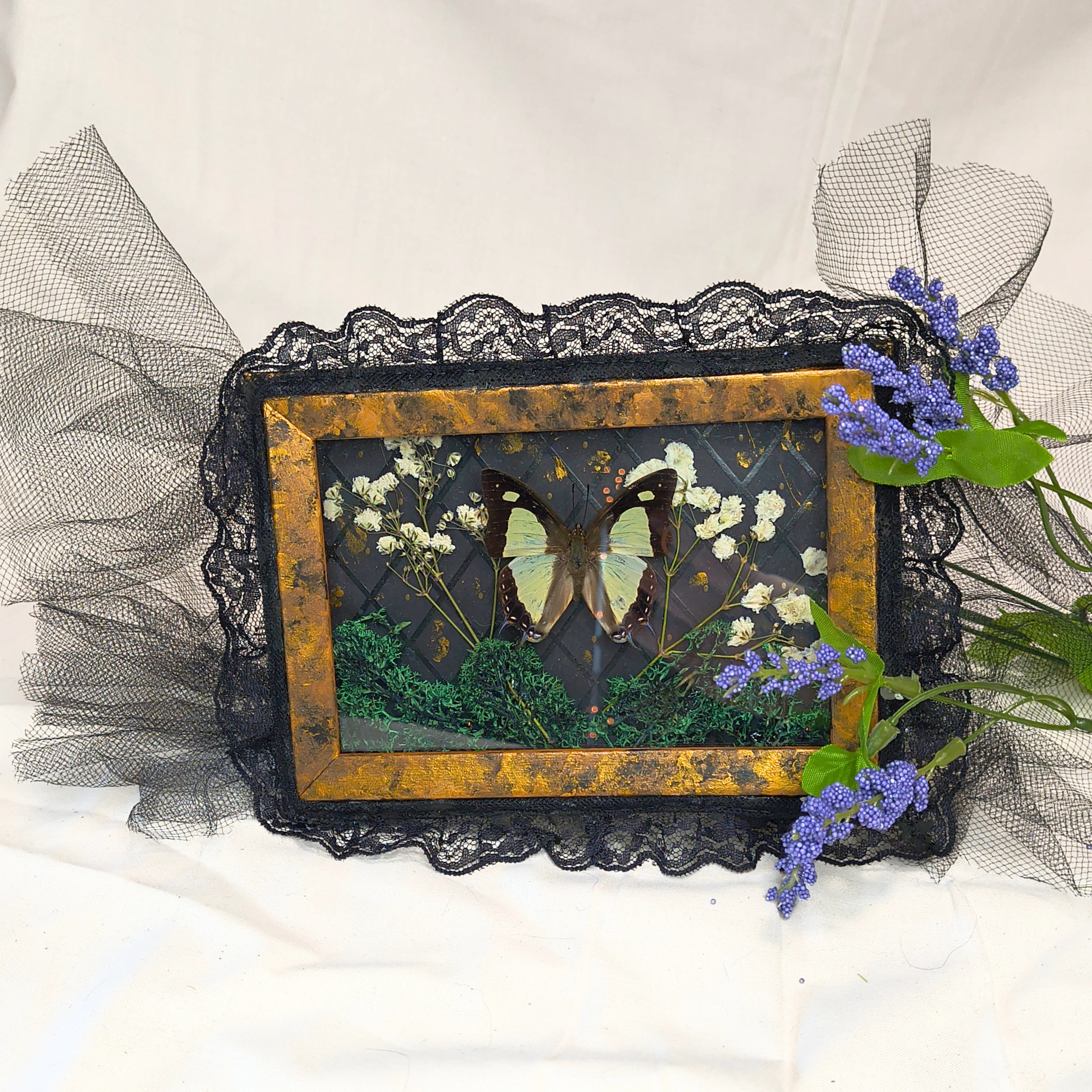 Midnight Sky Framed Butterfly Art - Made with Upcycled Materials