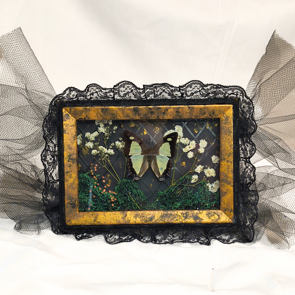 Midnight Sky Framed Butterfly Art - Made with Upcycled Materials