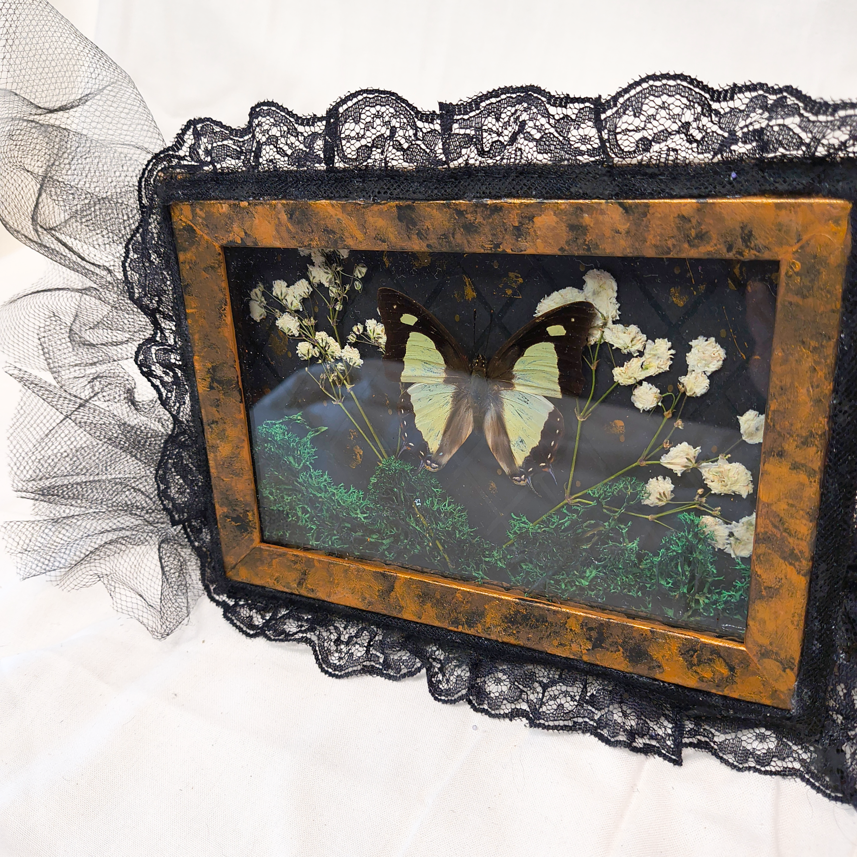 Midnight Sky Framed Butterfly Art - Made with Upcycled Materials