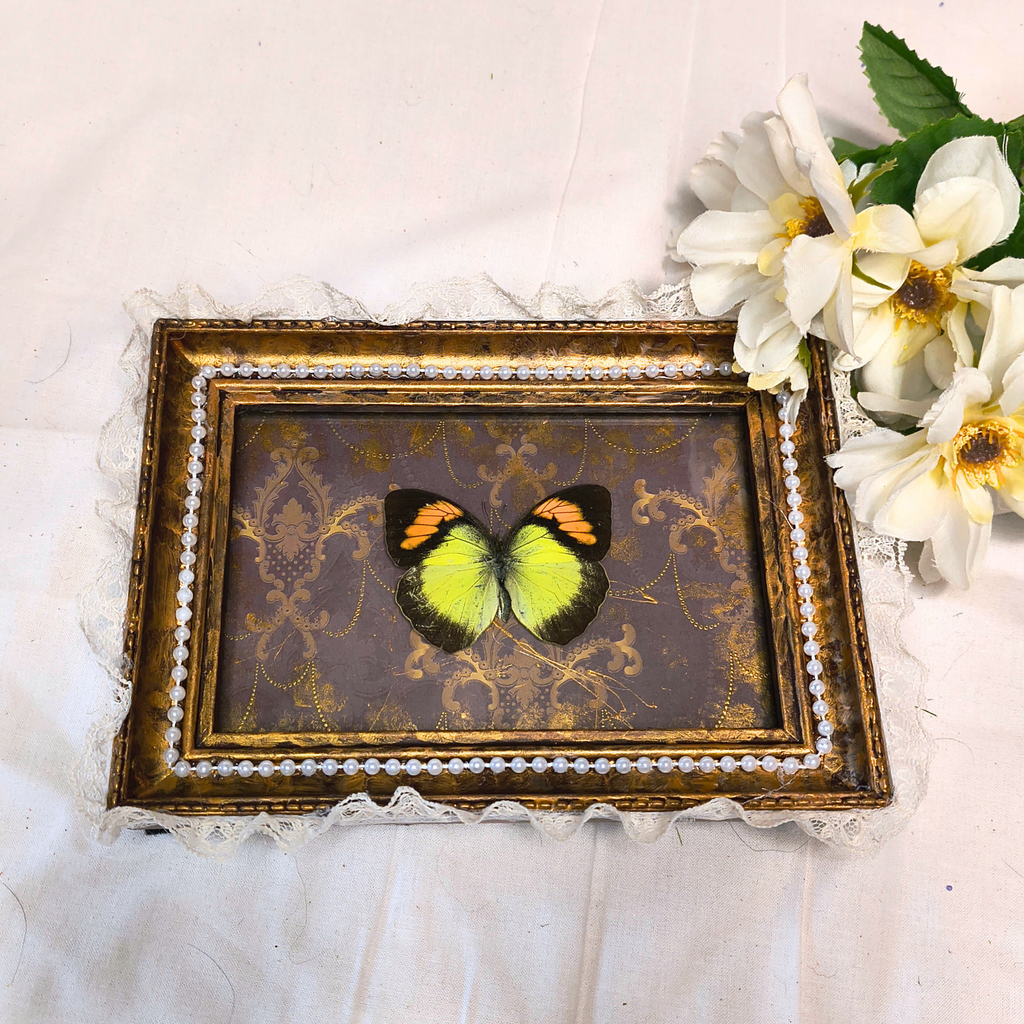 Golden Sunset Framed Butterfly Art - Made with Upcycled Materials